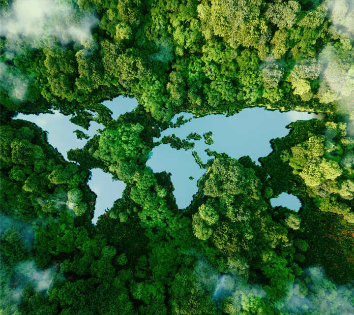 Supply Chain Mapping