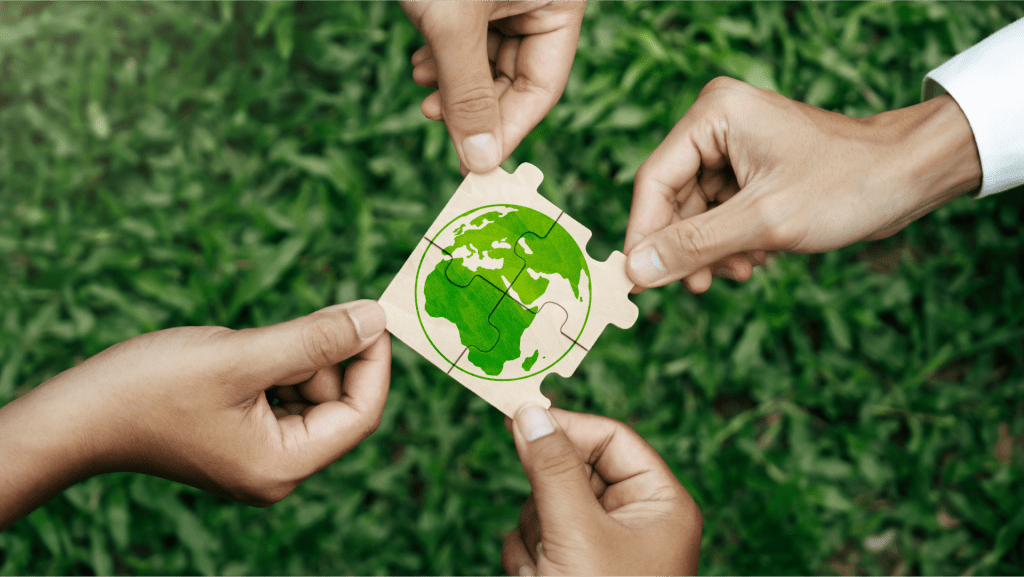 Case Studies of Successful Sustainable Supply Chains