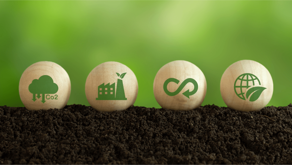 Understanding Supply Chain Sustainability