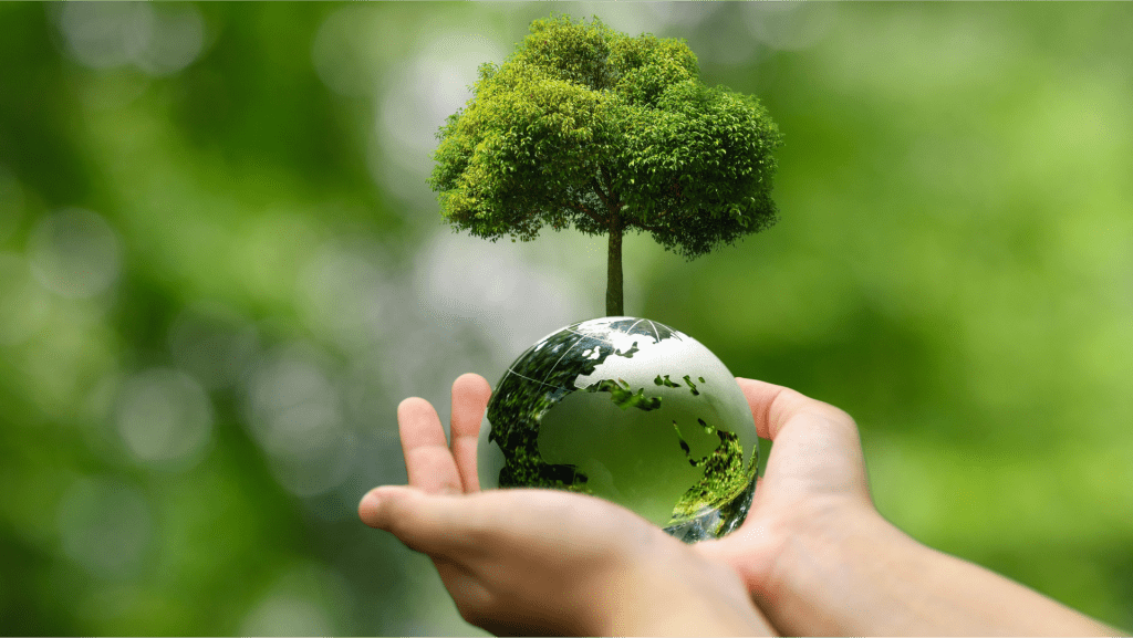 Best Practices for Implementing Supply Chain Traceability